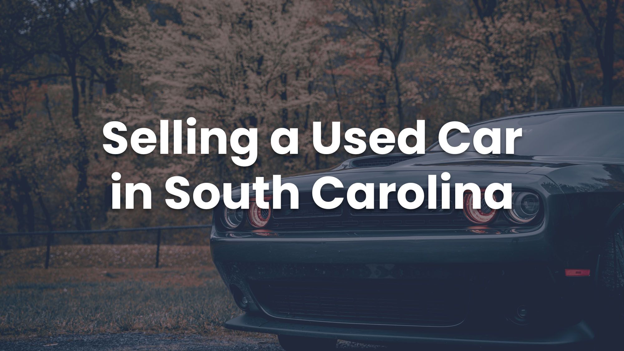 Sell Your Car in South Carolina Create Listing PrivateAuto